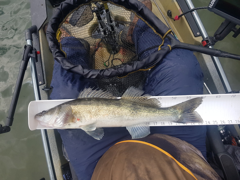 Fish Measure Picture