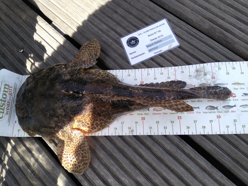 Fish Measure Picture