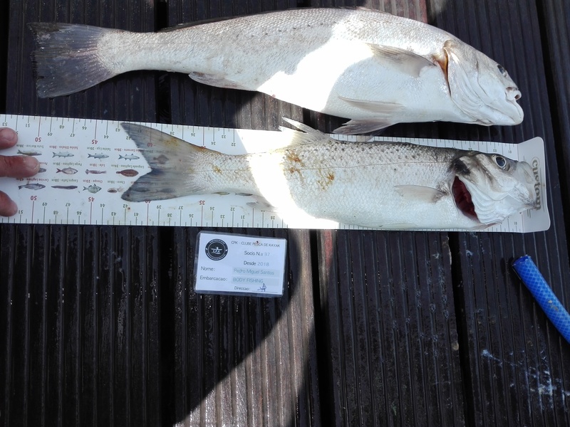 Fish Measure Picture