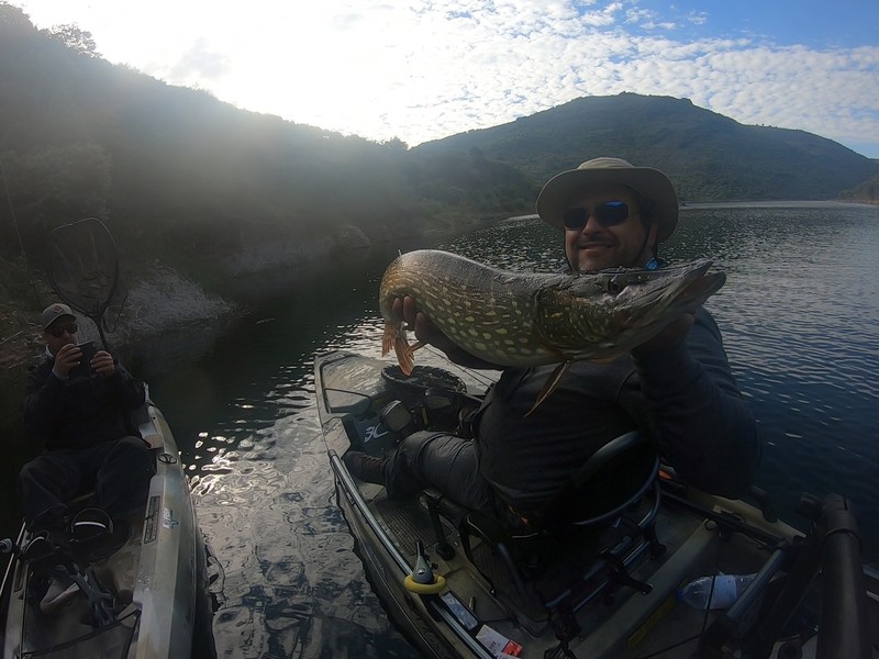 Fish Profile Picture