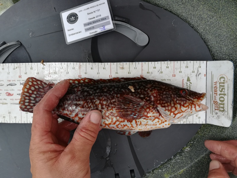 Fish Measure Picture