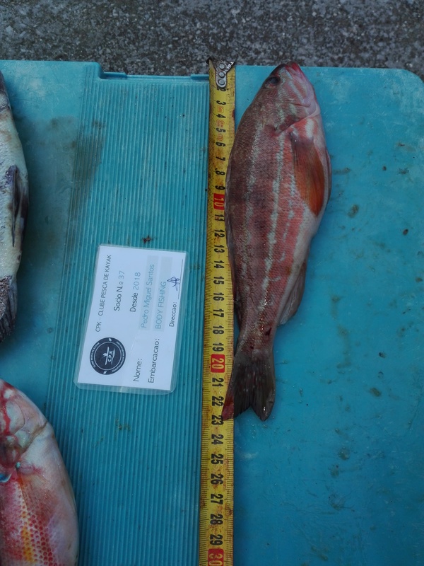 Fish Measure Picture