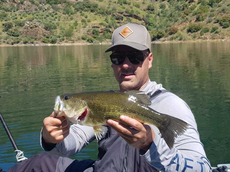 Fish Profile Picture