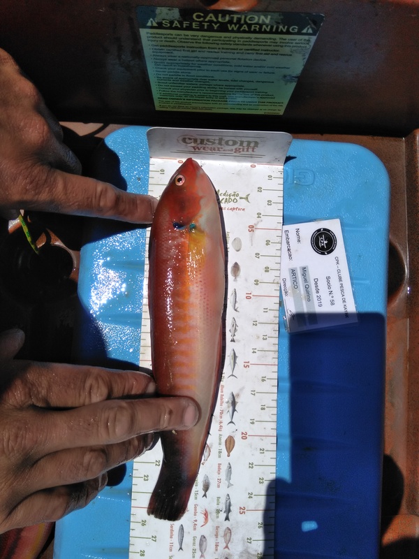 Fish Measure Picture