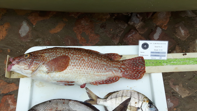 Fish Measure Picture