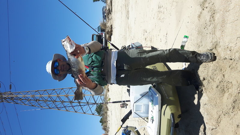 Fish Profile Picture
