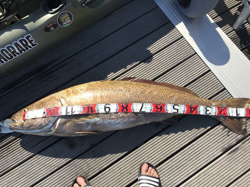 Fish Measure Picture