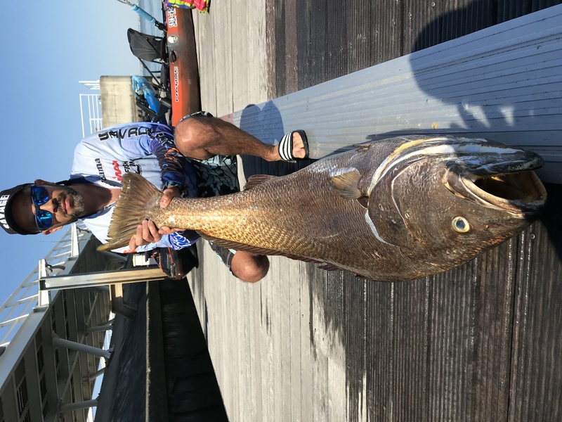Fish Profile Picture
