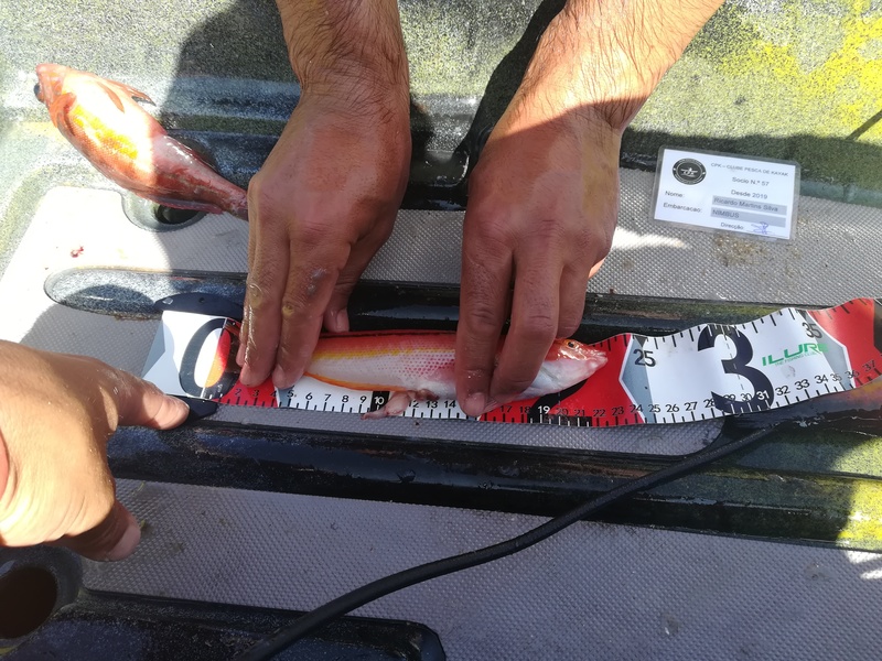 Fish Measure Picture