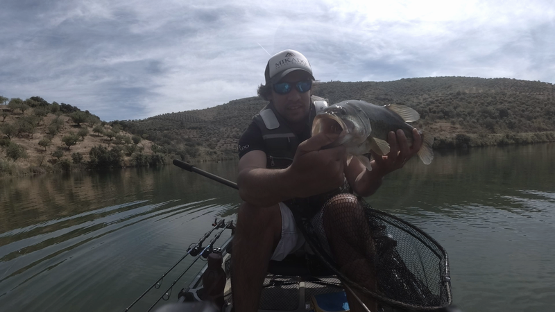 Fish Profile Picture