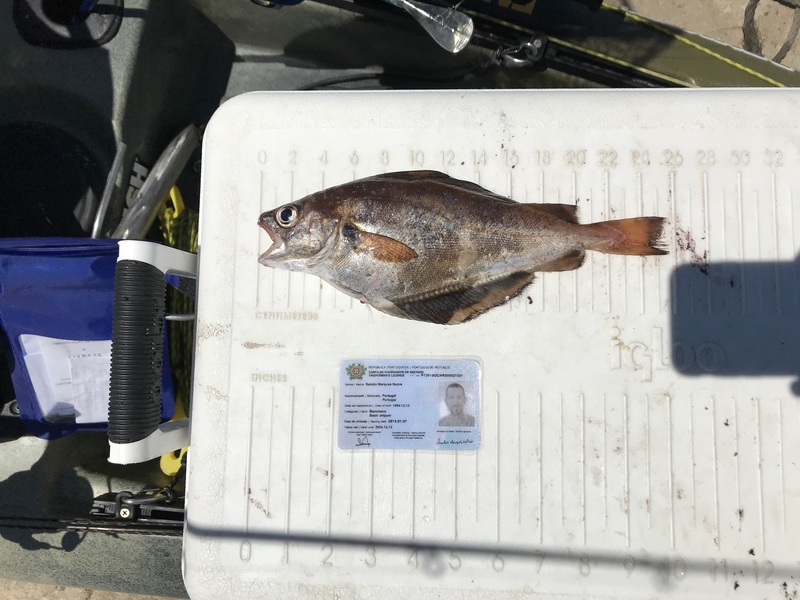 Fish Measure Picture