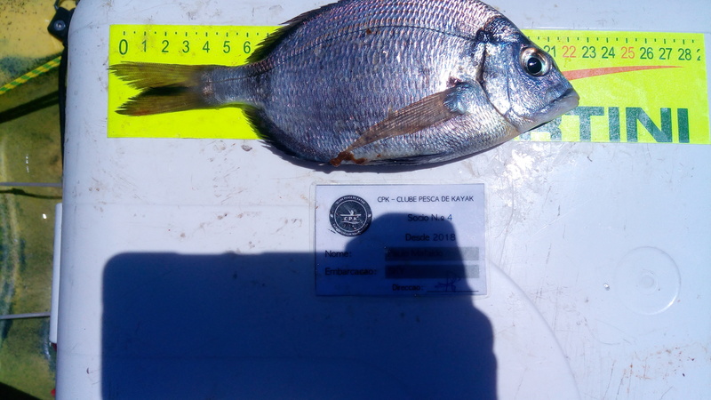 Fish Measure Picture