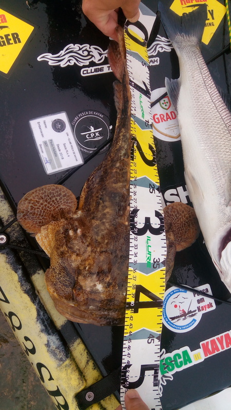 Fish Measure Picture
