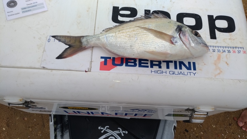 Fish Measure Picture