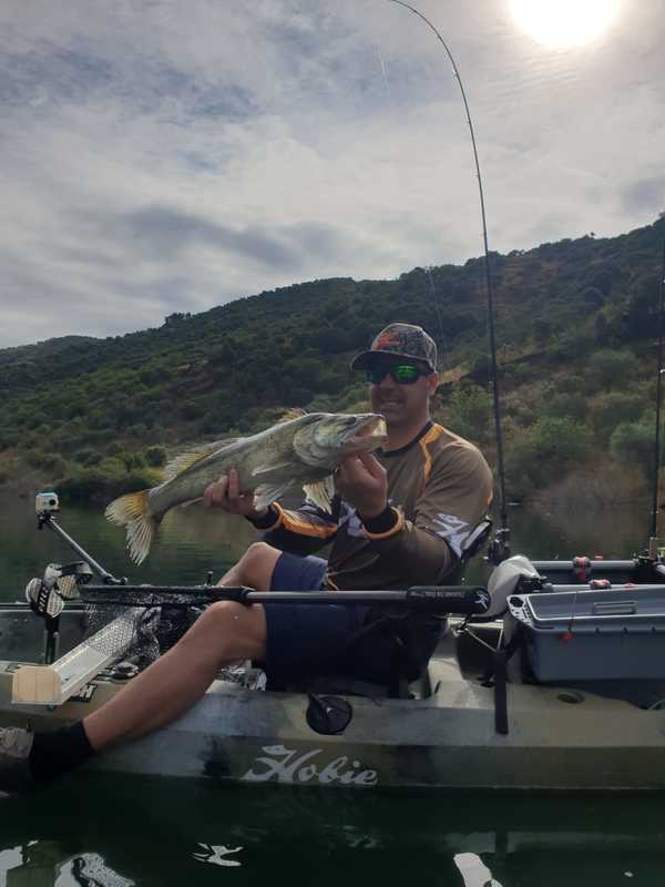 Fish Profile Picture
