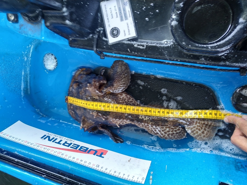 Fish Measure Picture