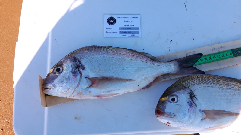 Fish Measure Picture