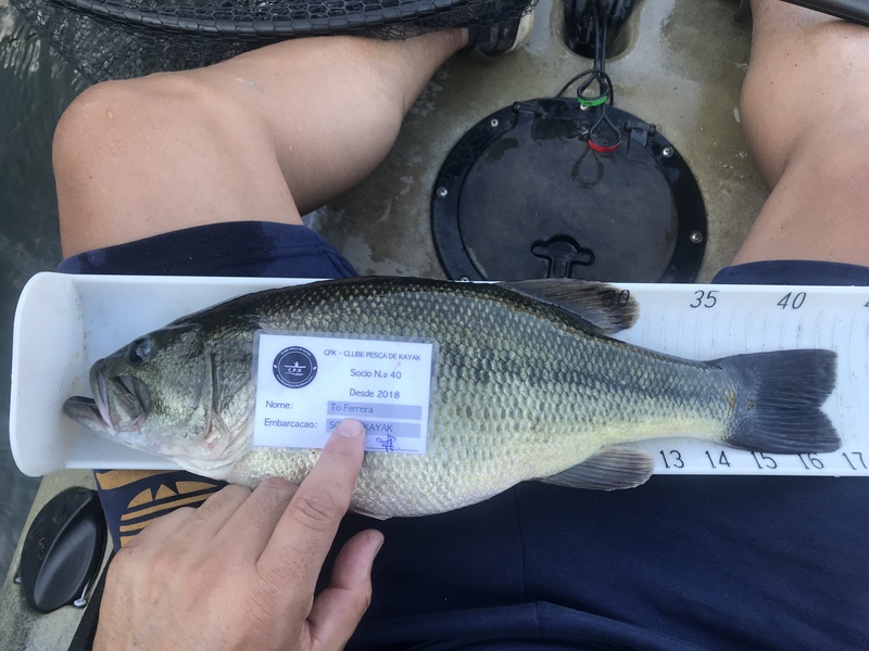 Fish Measure Picture
