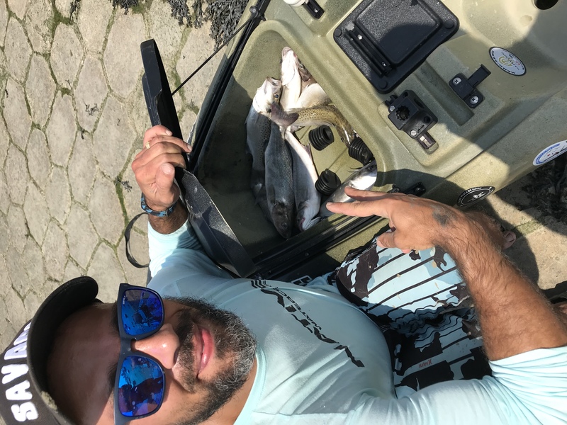 Fish Profile Picture