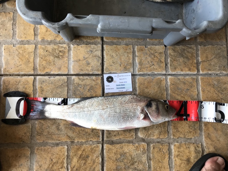Fish Measure Picture
