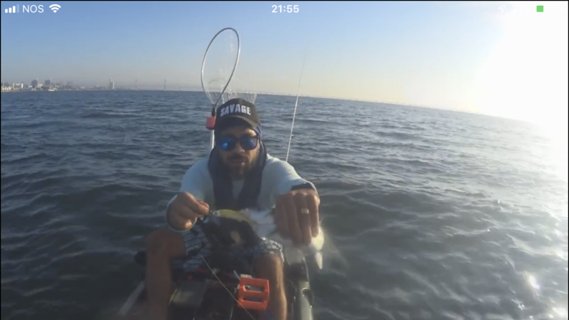 Fish Profile Picture