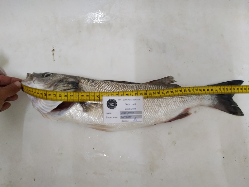 Fish Measure Picture