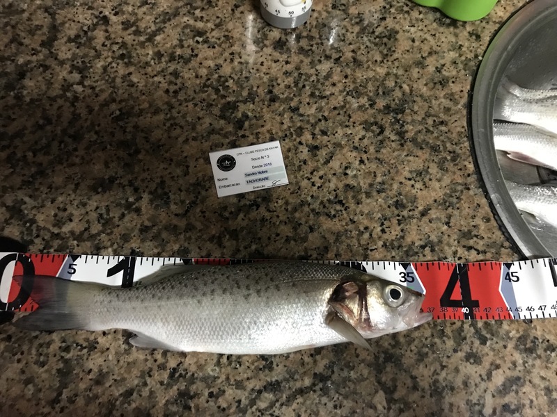 Fish Measure Picture