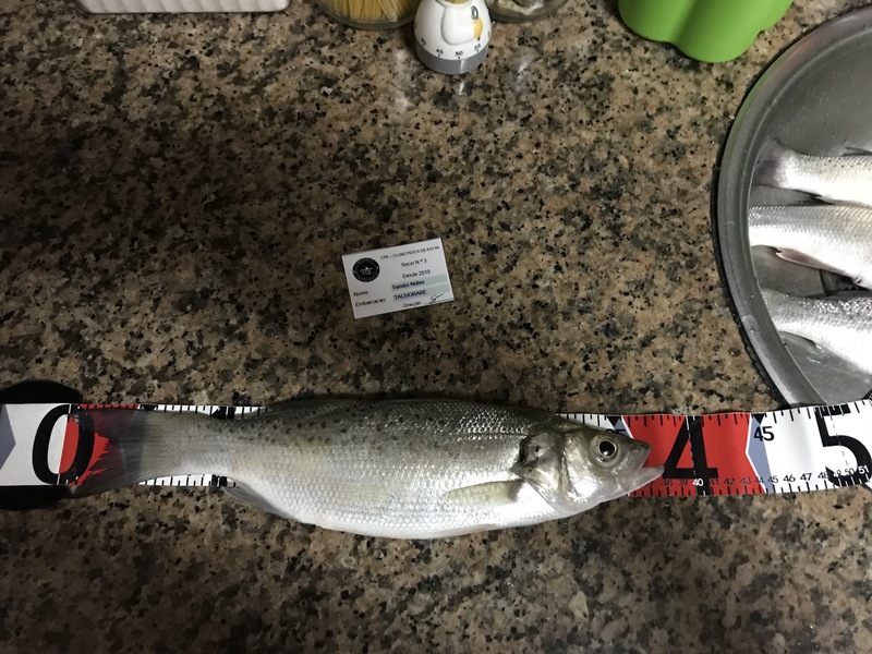 Fish Measure Picture