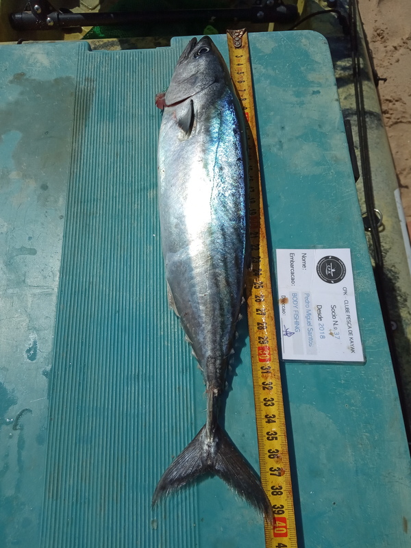 Fish Measure Picture