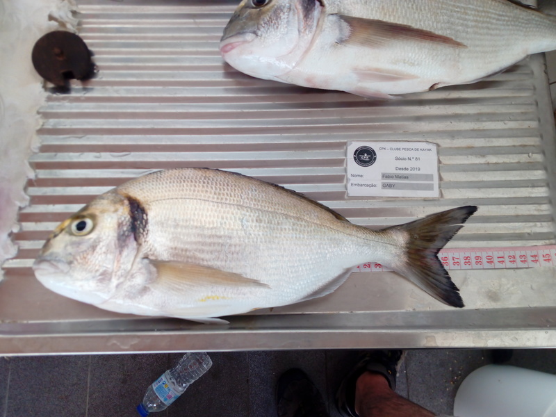 Fish Measure Picture
