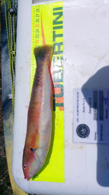 Fish Measure Picture