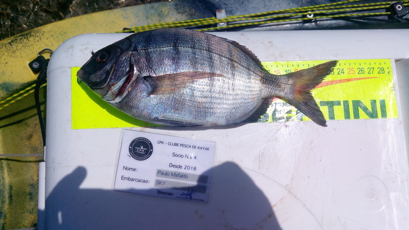 Fish Measure Picture