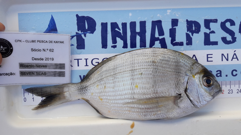 Fish Measure Picture