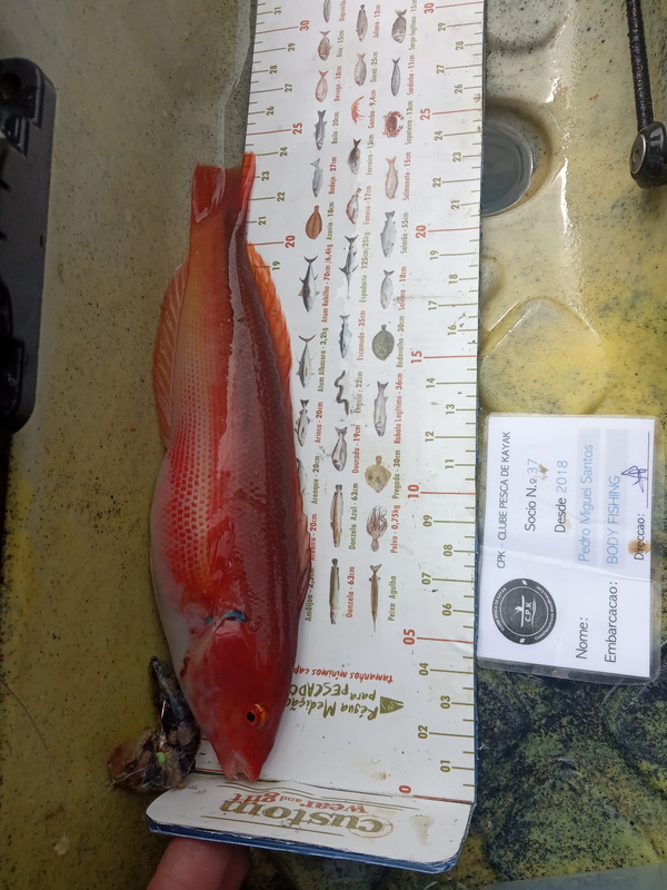 Fish Measure Picture