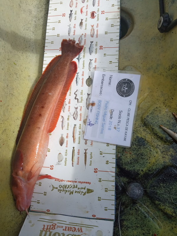 Fish Measure Picture
