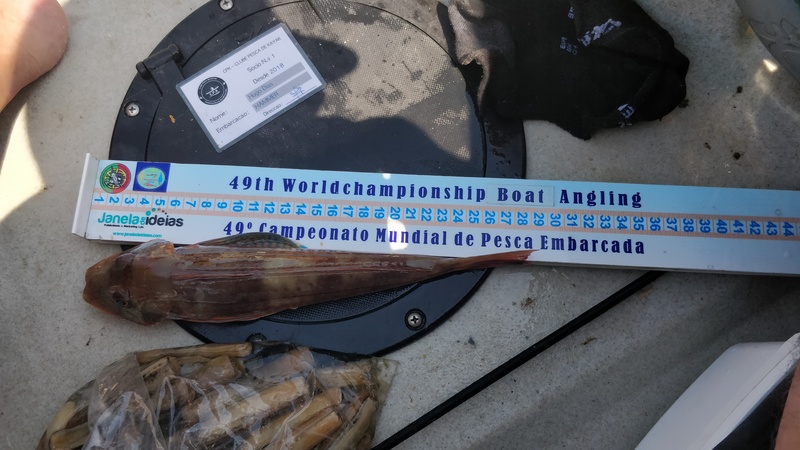 Fish Measure Picture