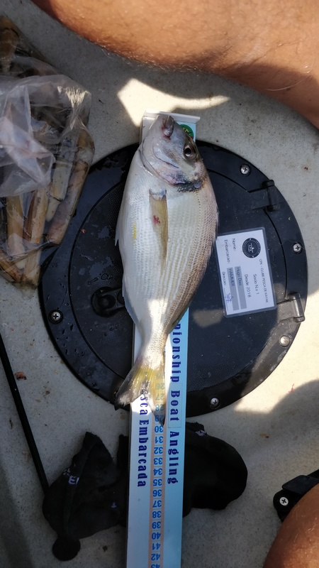 Fish Measure Picture