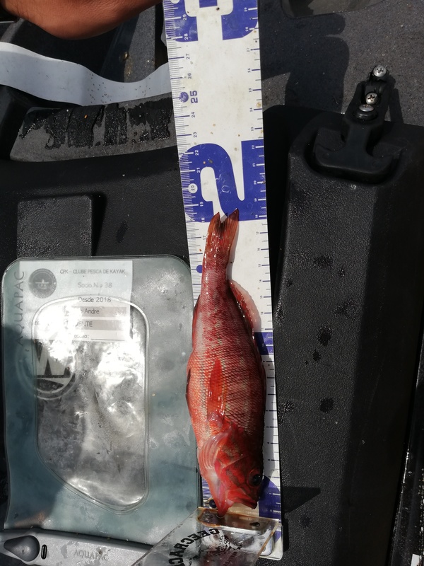 Fish Measure Picture