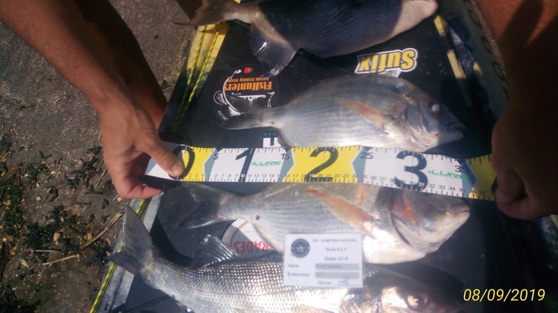 Fish Measure Picture