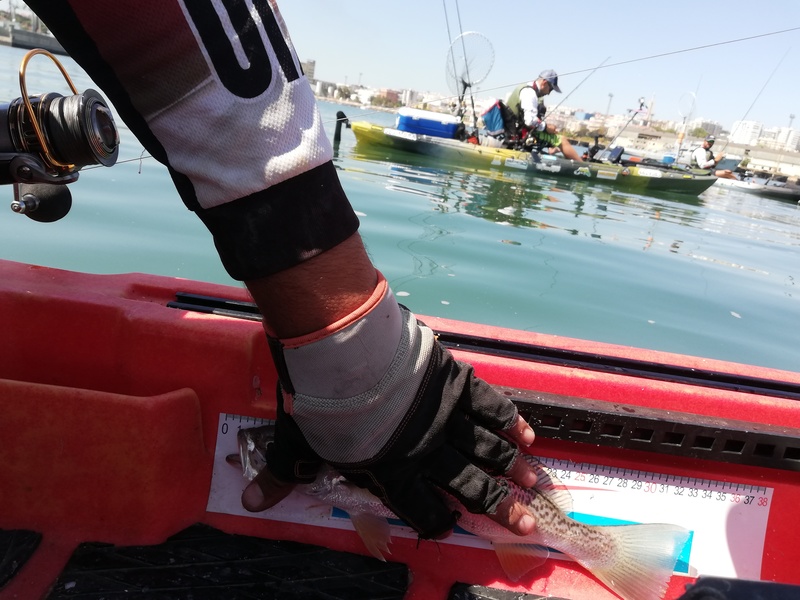 Fish Measure Picture