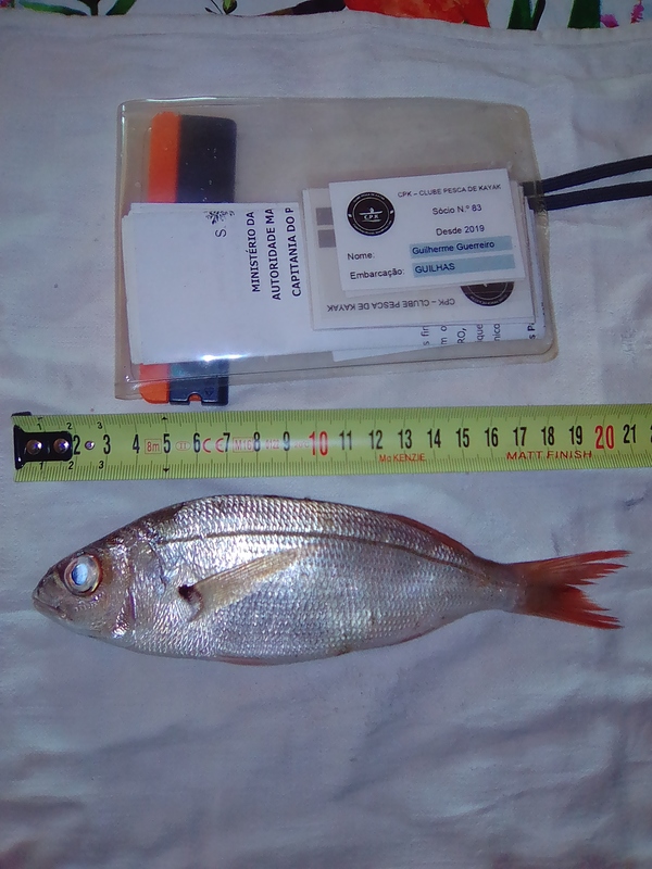 Fish Measure Picture