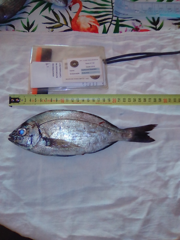 Fish Measure Picture