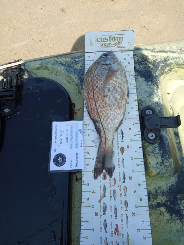 Fish Measure Picture