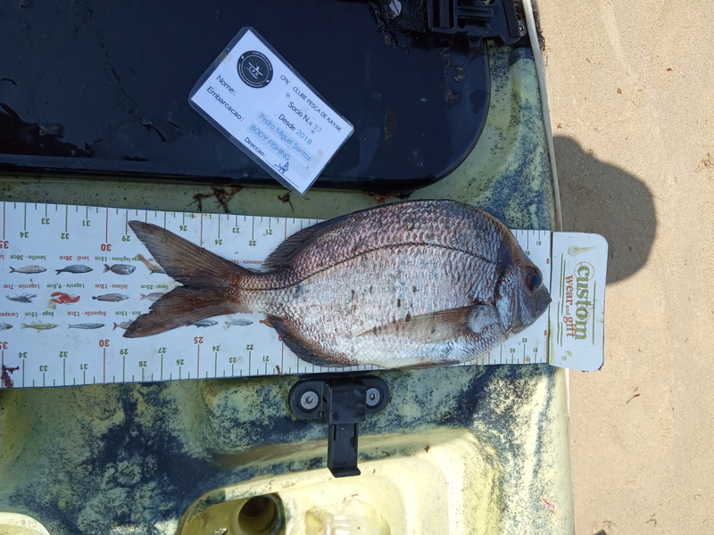 Fish Measure Picture