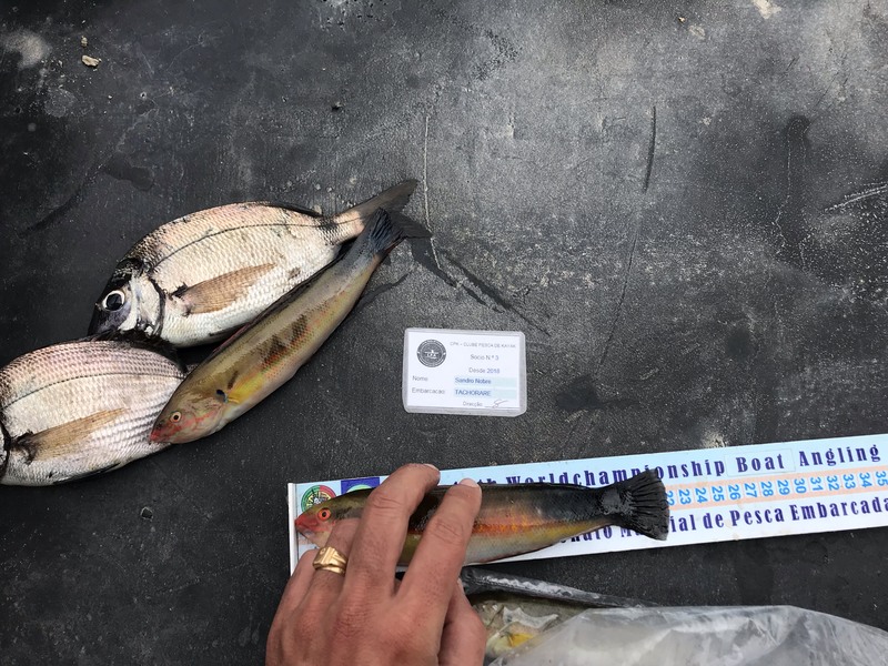 Fish Measure Picture
