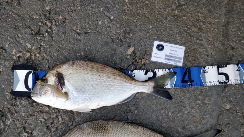 Fish Measure Picture