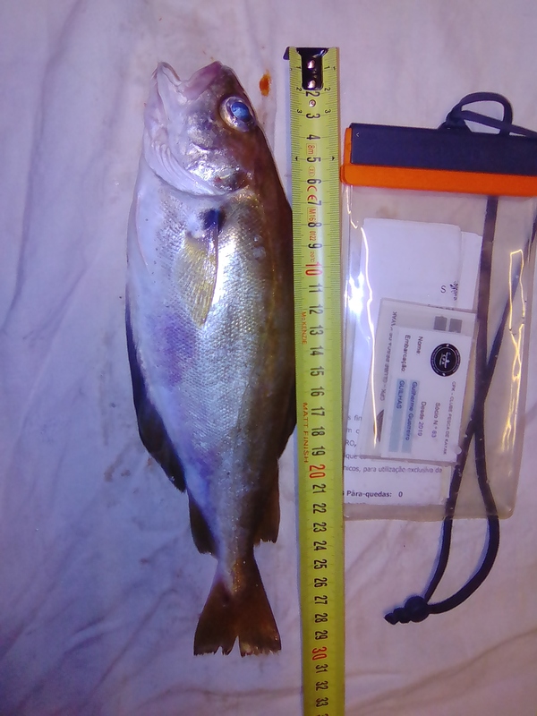 Fish Measure Picture