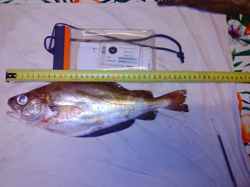 Fish Measure Picture