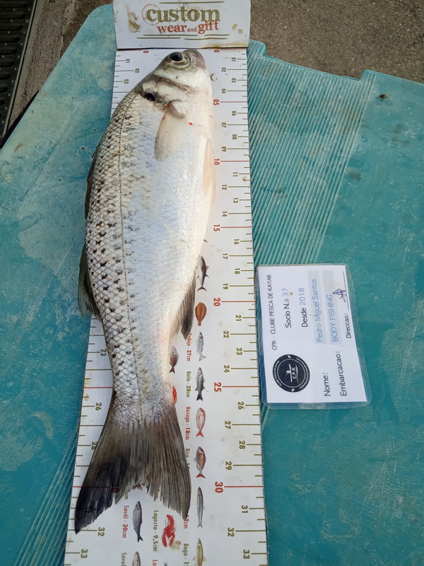 Fish Measure Picture