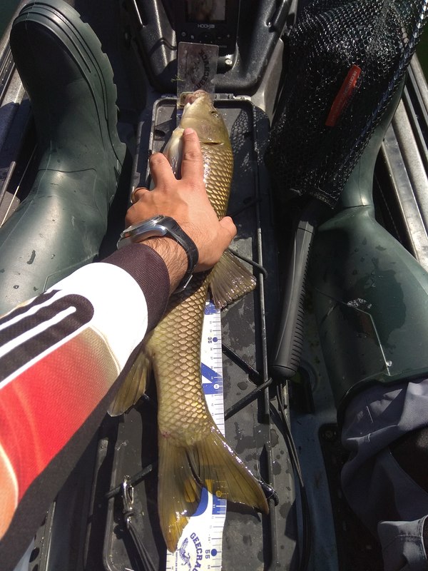 Fish Measure Picture